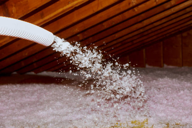 Best Insulation Replacement Services  in Wilkesboro, NC
