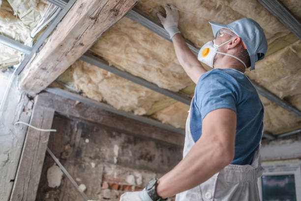 Professional Insulation Contractor in Wilkesboro, NC