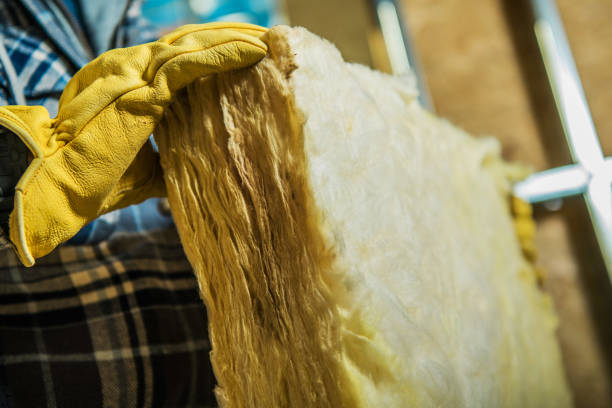 Best Attic Insulation Installation  in Wilkesboro, NC