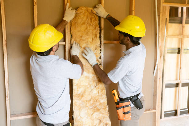 Best Energy-efficient Insulation  in Wilkesboro, NC