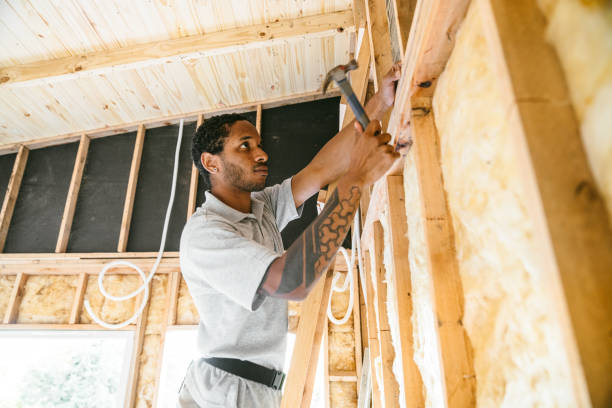 Best Insulation for New Construction  in Wilkesboro, NC
