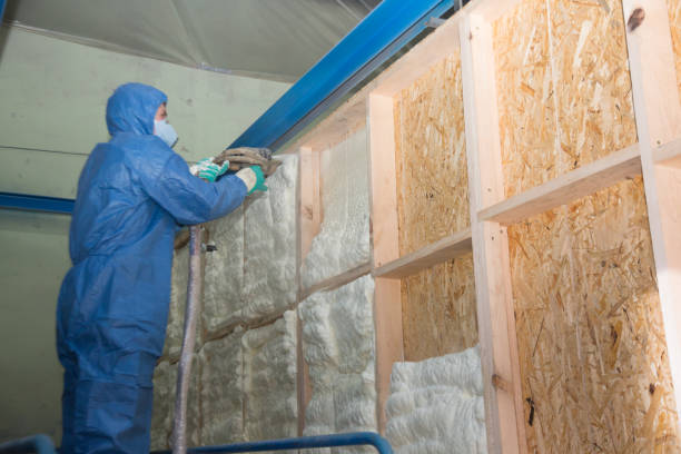 Best Insulation Contractors for Homes  in Wilkesboro, NC