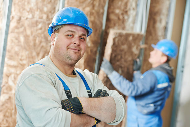 Best Insulation Removal  in Wilkesboro, NC