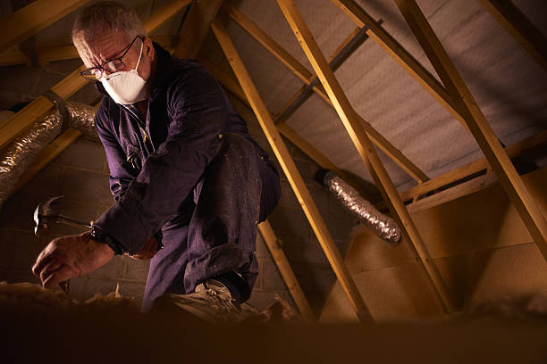 Best Insulation Contractor Near Me  in Wilkesboro, NC